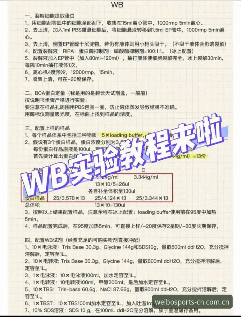 伟博体育平台：解决WB下载安装失败问题的实用技巧